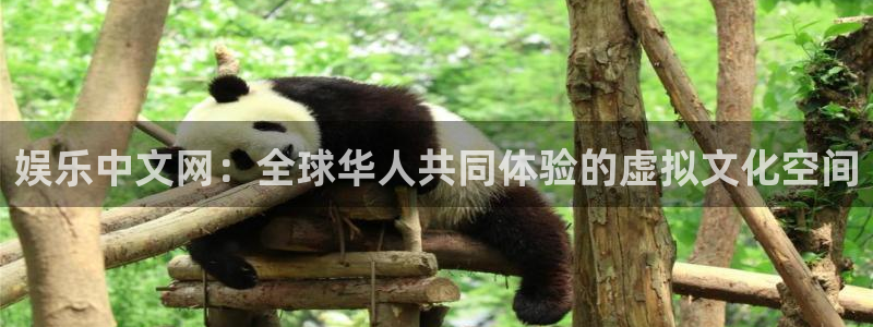 太阳成集团tyc9728：娱乐中文网：全球华人共同体验的虚拟文化空间
